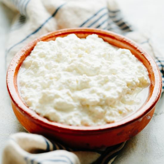 Homemade Ricotta Cheese