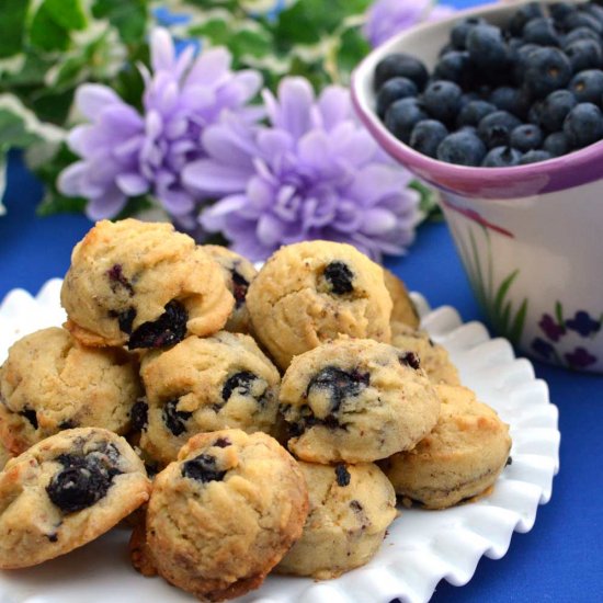 Blueberry Cookie Bites