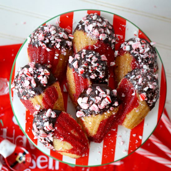 vegan peppermint bark madeleines