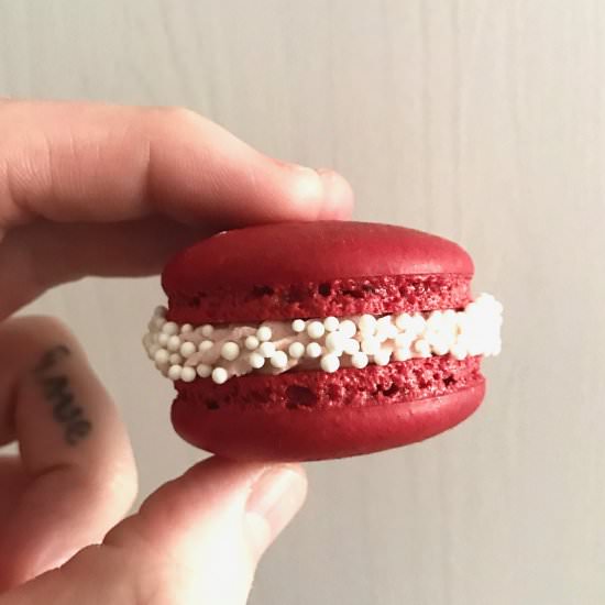 cranberry spice french macarons