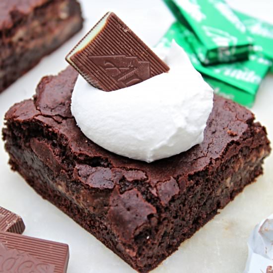 Gluten Free Mint Brownies -Egg Free