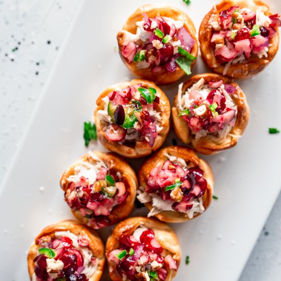 Chicken Tartlets & Cranberry Salsa