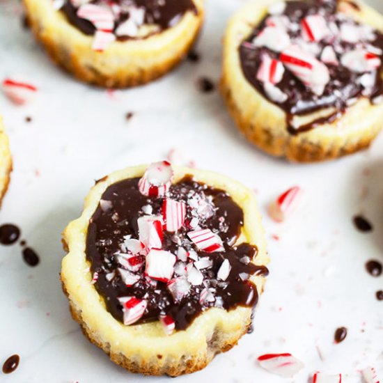 Peppermint Chocolate Cheesecake Cup