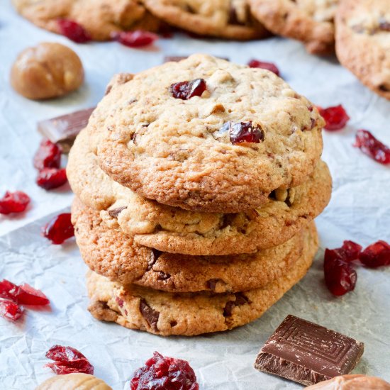 Dark Chocolate Cranberry Cookies