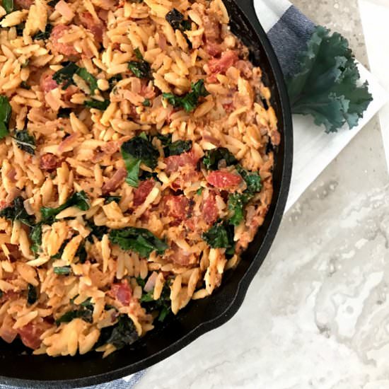 Creamy Tomato Kale Orzo