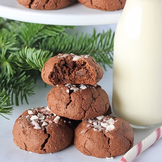 Double Chocolate Peppermint Cookies