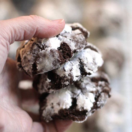 Chocolate Crinkle Cookies