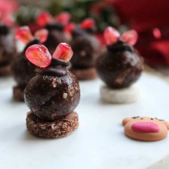 Salted Chocolate Coconut Truffles