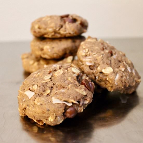 Double Chocolate Lactation Cookies