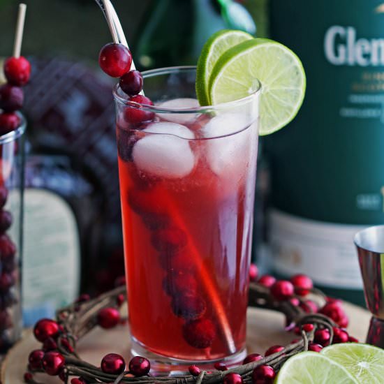 Cranberry Whiskey Ginger Cocktail