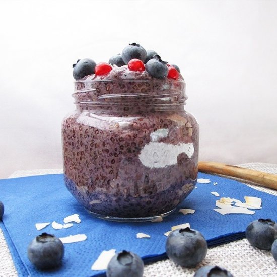 Vegan Blueberry Chia Pudding