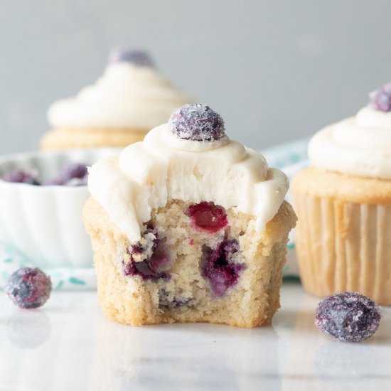 Gluten-Free Blueberry Cupcakes