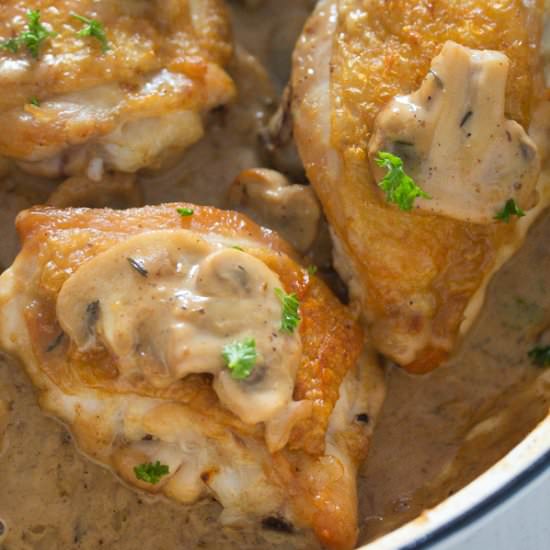 Chicken in a Creamy Mushroom Sauce