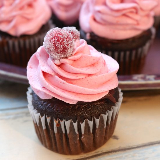 Sparkling Cranberry Chocolate Cupca