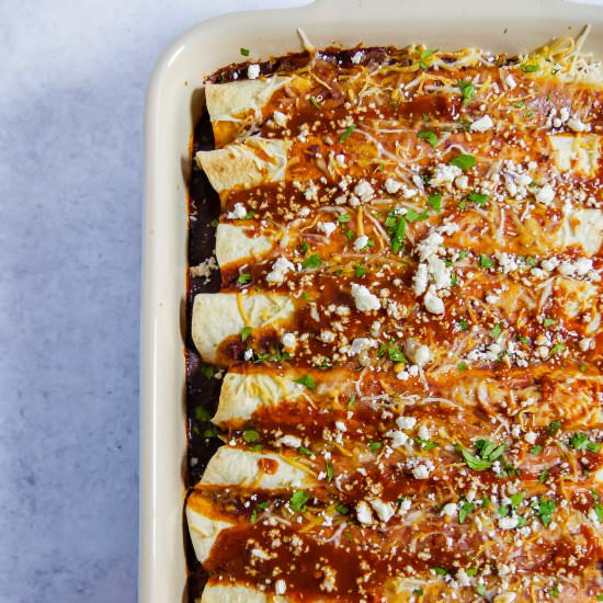 Shredded Chicken Enchiladas