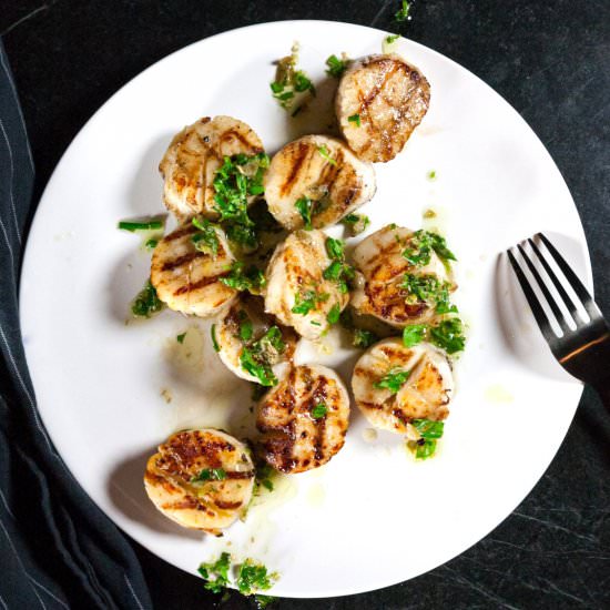 Grilled Scallops with Chimmichurri