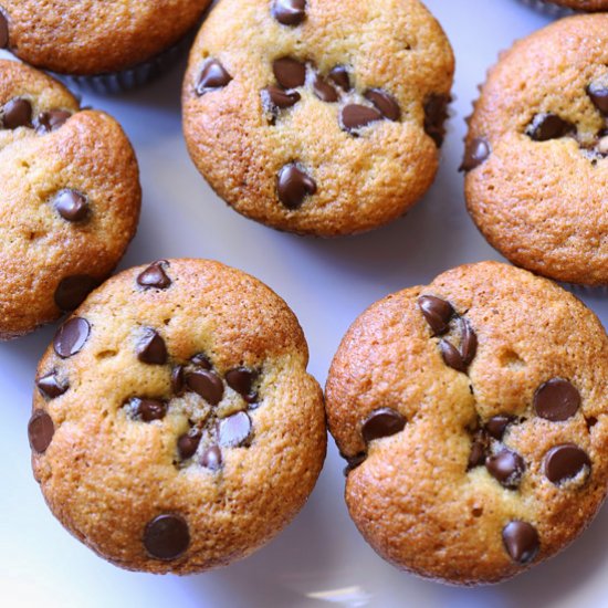 keto chocolate chip muffins