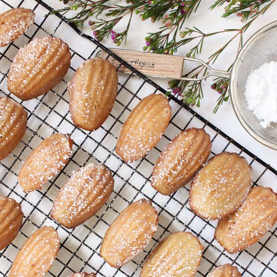 Chai Tea Spiced Madeleines