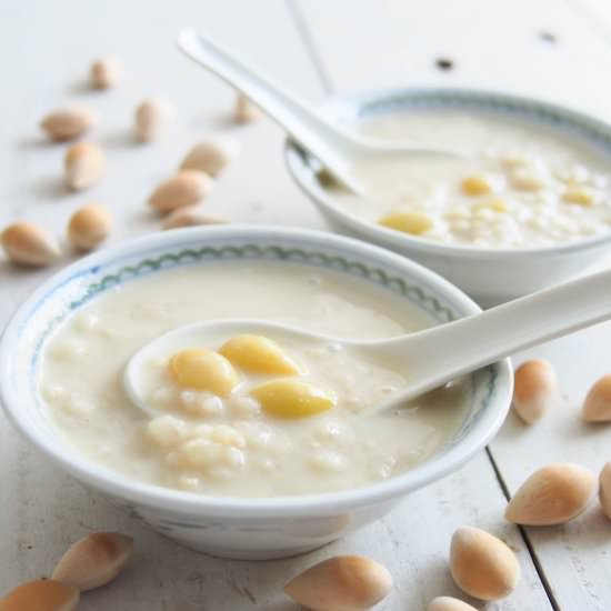 Barley and Gingko In Soy Milk