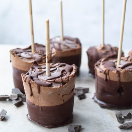 Coconut Milk Chocolate Fudgsicles