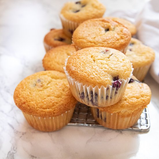 Cottage Cheese Yogurt Berry Muffins