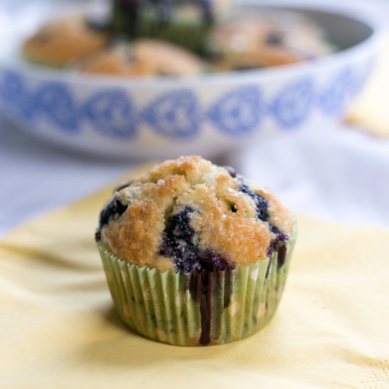 Low Fat Blueberry Muffins