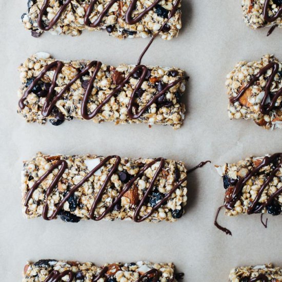 Chocolate Blueberry Snack Bars