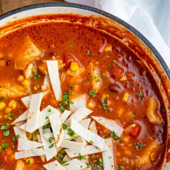 Chicken Tortilla Soup