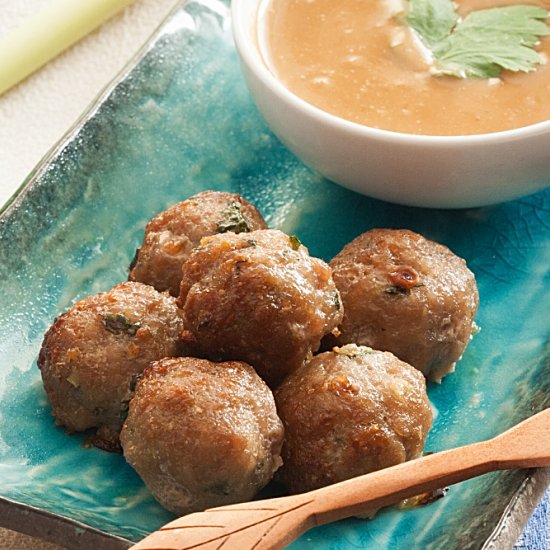 Low Fodmap Satay Pork Meatballs