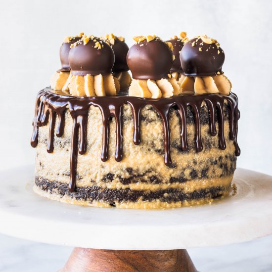 Chocolate Peanut Butter Vegan Cake