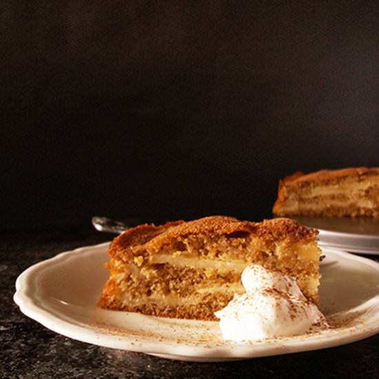 Simple Greek Apple Cake