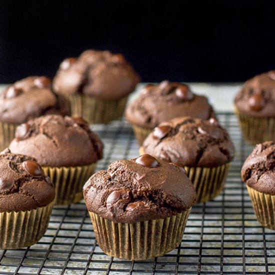 Double Chocolate Muffins