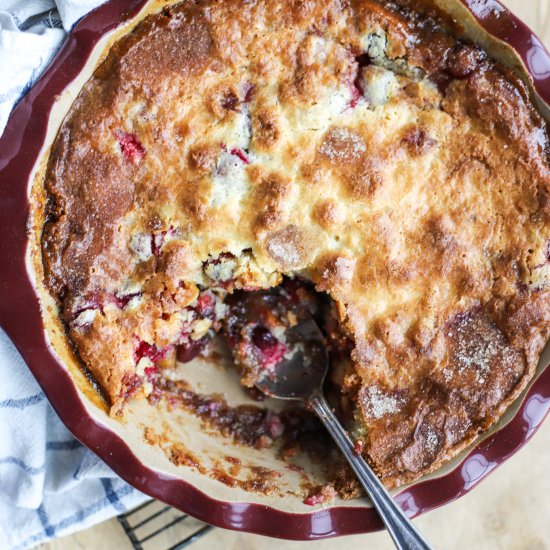 Easy Cranberry Apple Cake