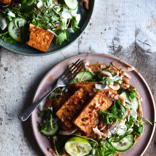 Crispy oven baked tofu