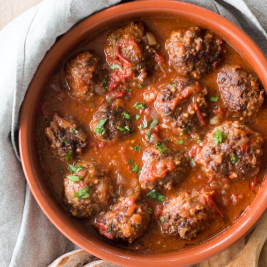 Kid Friendly Spanish Meatballs