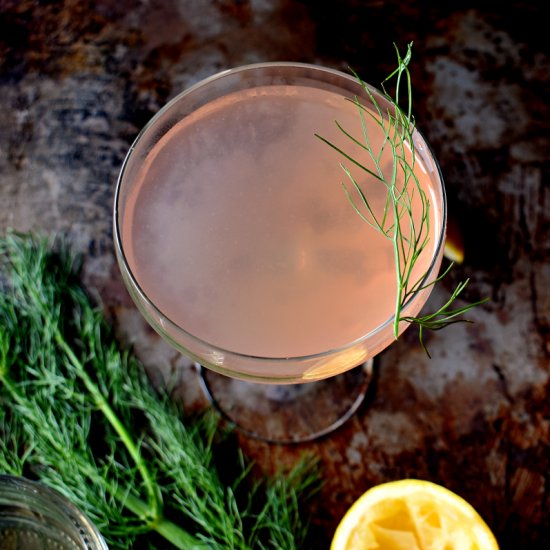 Fennel Gin Cocktail