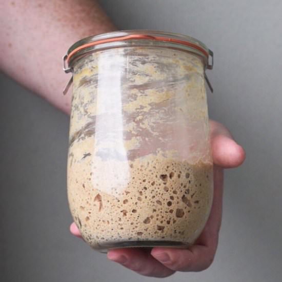 Making Sourdough Starter