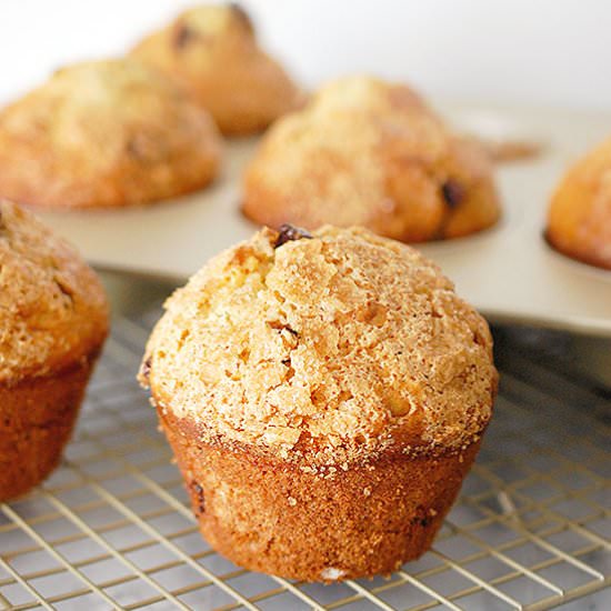 Jumbo chocolate chip muffins