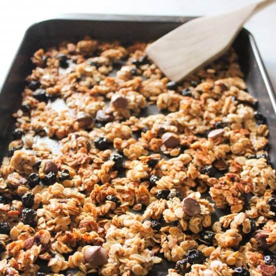 Easy Chocolate Blueberry Granola