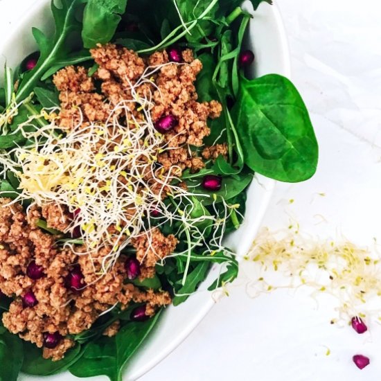 Ground Beef Salad with Vinaigrette