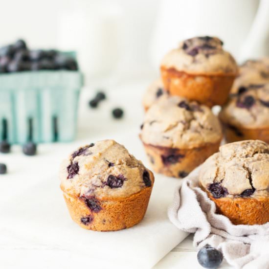 Whole Wheat Blueberry Muffins