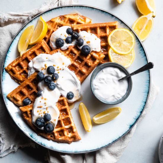 Blueberry Greek Yogurt Waffles