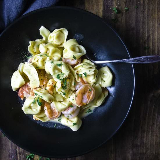 Creamy Shrimp Scampi Tortellini