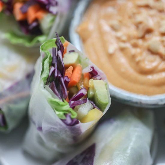 Vegan Summer Rolls w/ Peanut Sauce