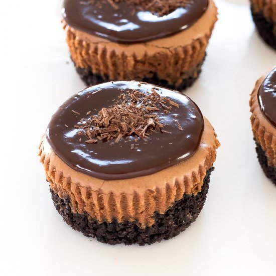 Chocolate Mini Cheesecakes