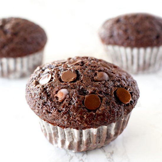 Double Chocolate Chip Muffins