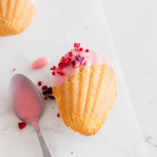 Raspberry Rose French Madeleines