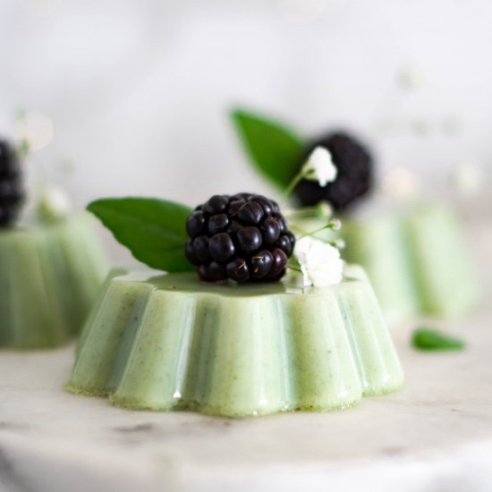 Matcha Panna Cotta