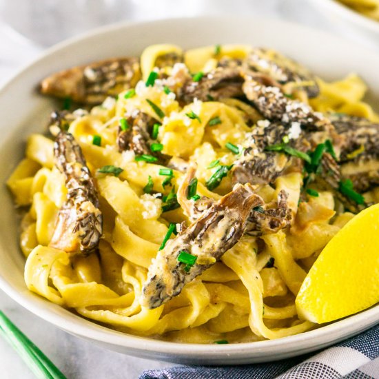 Morel Mushroom Pasta in Cream Sauce