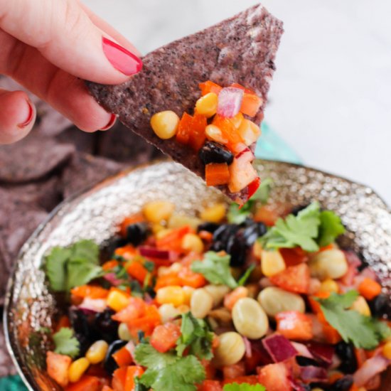 Rainbow Salsa